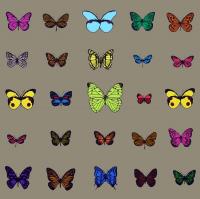 25 Butterflies by Scott Campbell